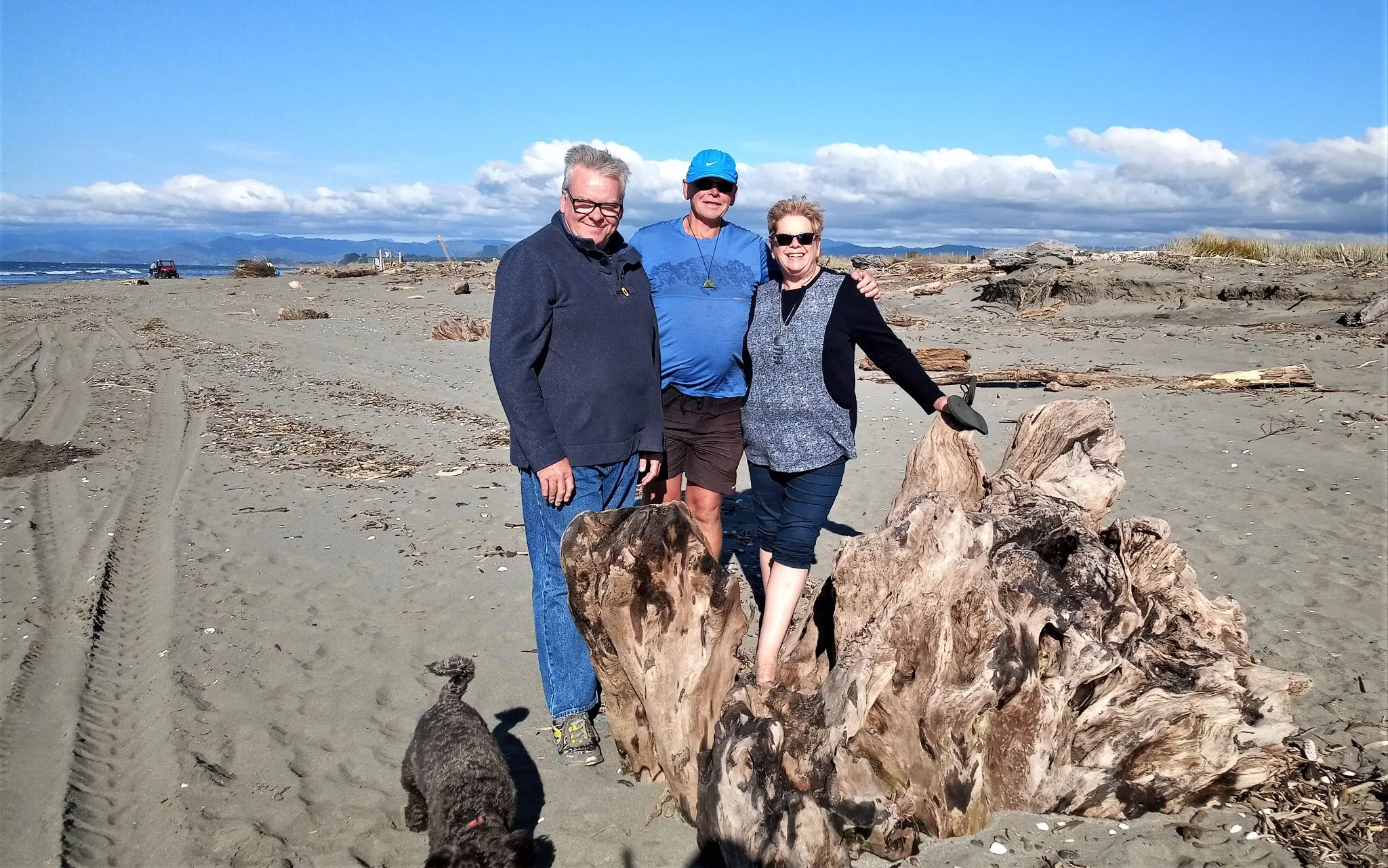 New Zealand 12